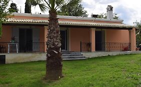 The Valley House